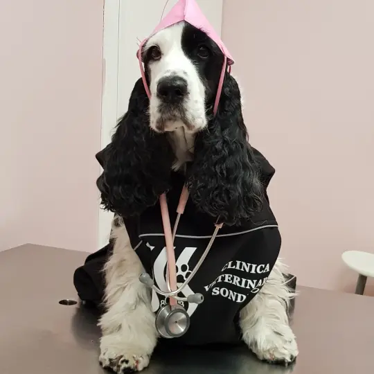 Ritratto della dottoressa Patrizia Pircher con i suoi animali domestici