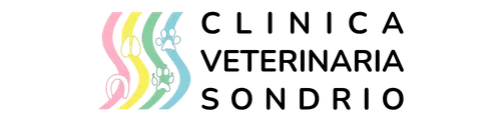 cvs_logo_h